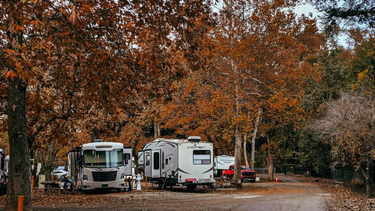 Fort Wilderness motorhome rental at a peaceful wooded campsite